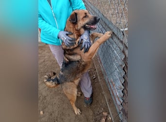 Mery sucht ihre Menschen