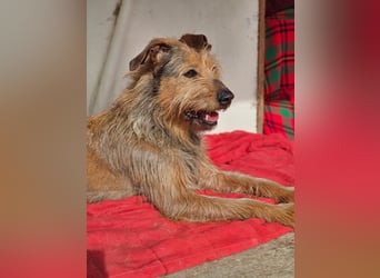 HAPPY ❤️ Name = Programm, Pflegefamilie Köln