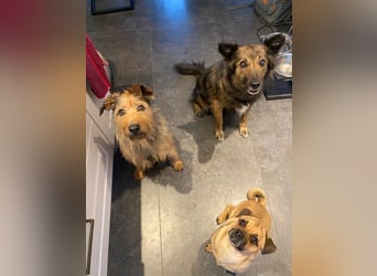 HAPPY ❤️ Name = Programm, Pflegefamilie Köln