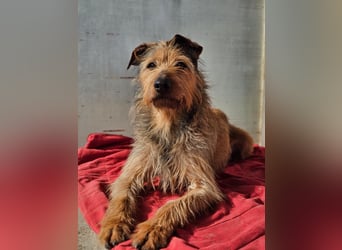 HAPPY ❤️ Name = Programm, Pflegefamilie Köln