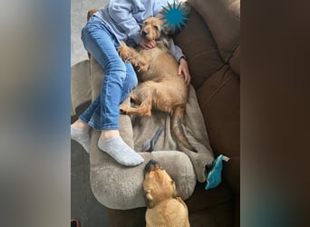 HAPPY ❤️ Name = Programm, Pflegefamilie Köln