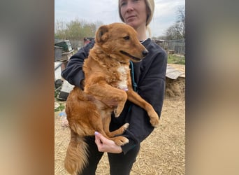 Kajla wartet auf sein Happy End