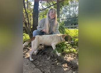 Bounty sucht ein zu Hause
