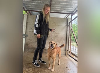 Dinka möchte dich kennenlernen