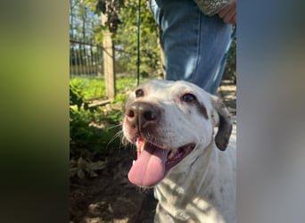 Ildike - hast du noch Platz im Herzen?