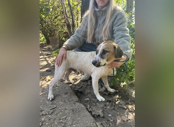 Bounty sucht ein zu Hause