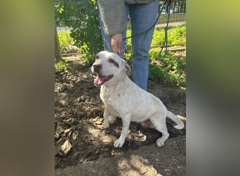 Ildike - hast du noch Platz im Herzen?