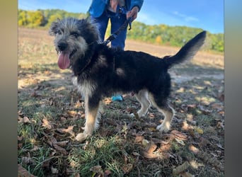 Mit Ozzy gemeinsam ins Glück