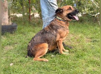 Mery sucht ihre Menschen