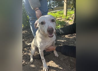 Ildike - hast du noch Platz im Herzen?