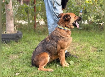 Mery sucht ihre Menschen