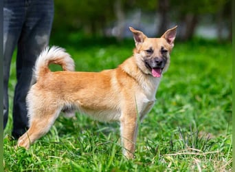 Schüchterner Punsch sucht seine Familie