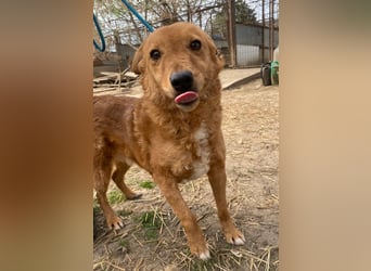 Kajla wartet auf sein Happy End