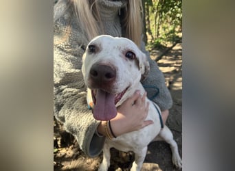 Ildike - hast du noch Platz im Herzen?