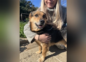 Rubina sucht ihren Menschen