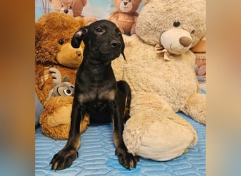 Frederico sucht einen Sportpartner