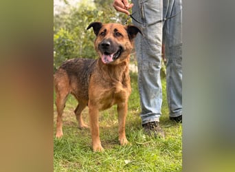 Mery sucht ihre Menschen