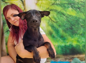 Frederico sucht einen Sportpartner