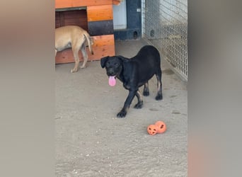Frederico sucht einen Sportpartner
