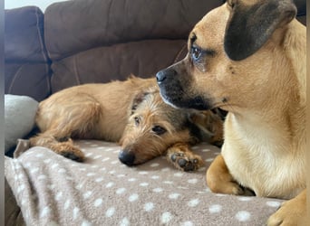 HAPPY ❤️ Name = Programm, Pflegefamilie Köln