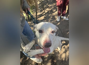 Ildike - hast du noch Platz im Herzen?