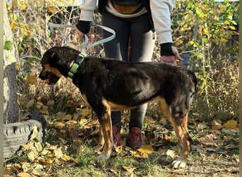 Hugi möchte geliebt werden