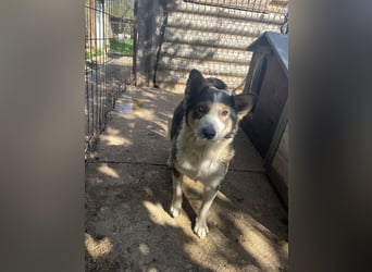 Möchtest du Lias Herzensmensch sein?