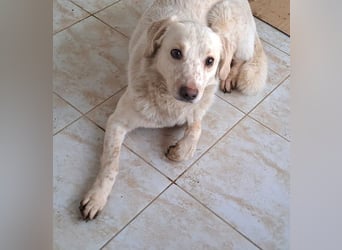 Ralf wartet seit 4 J. auf seine Ausreise aus Rumänien