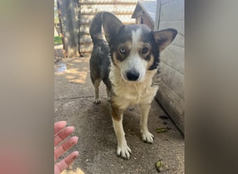 Möchtest du Lias Herzensmensch sein?