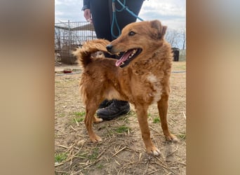 Kajla wartet auf sein Happy End