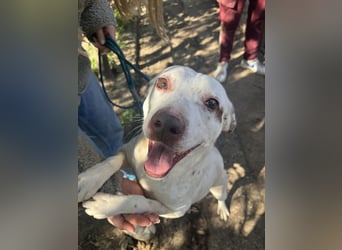 Ildike - hast du noch Platz im Herzen?