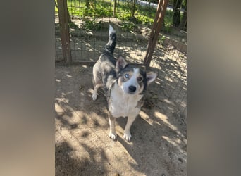 Möchtest du Lias Herzensmensch sein?