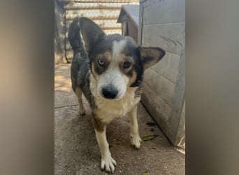 Möchtest du Lias Herzensmensch sein?