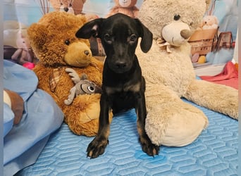 Frederico sucht einen Sportpartner
