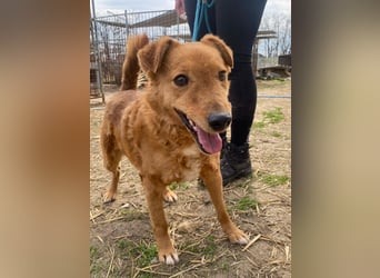 Kajla wartet auf sein Happy End