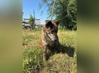 Motyo bringt Freude mit