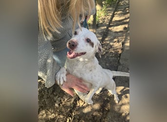 Ildike - hast du noch Platz im Herzen?