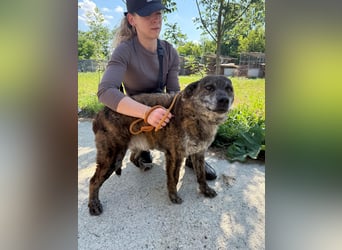 Motyo bringt Freude mit