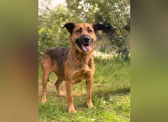 Mery sucht ihre Menschen