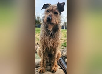 HAPPY ❤️ Name = Programm, Pflegefamilie Köln