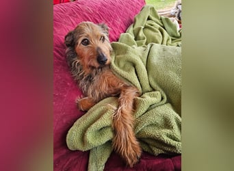 HAPPY ❤️ Name = Programm, Pflegefamilie Köln