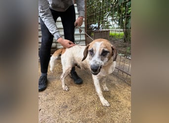 Bounty sucht ein zu Hause