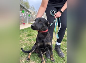 Frederico sucht einen Sportpartner