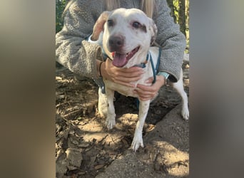 Ildike - hast du noch Platz im Herzen?