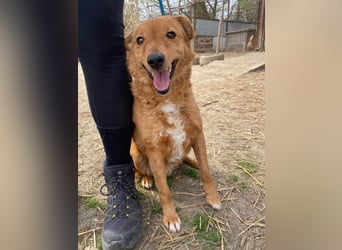 Kajla wartet auf sein Happy End