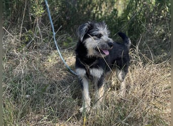 Mit Ozzy gemeinsam ins Glück