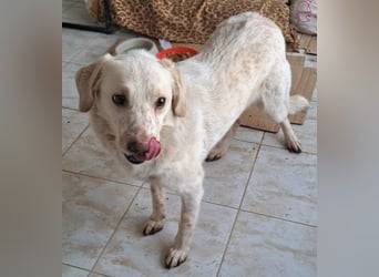 Ralf wartet seit 4 J. auf seine Ausreise aus Rumänien