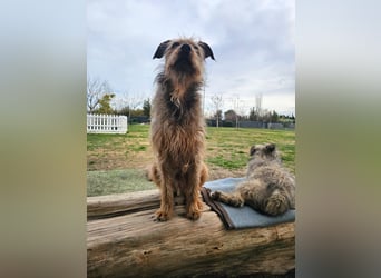 HAPPY ❤️ Name = Programm, Pflegefamilie Köln