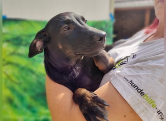 Frederico sucht einen Sportpartner