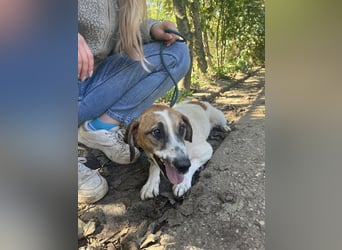 Bounty sucht ein zu Hause